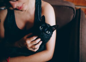 Animals & Pet Supplies